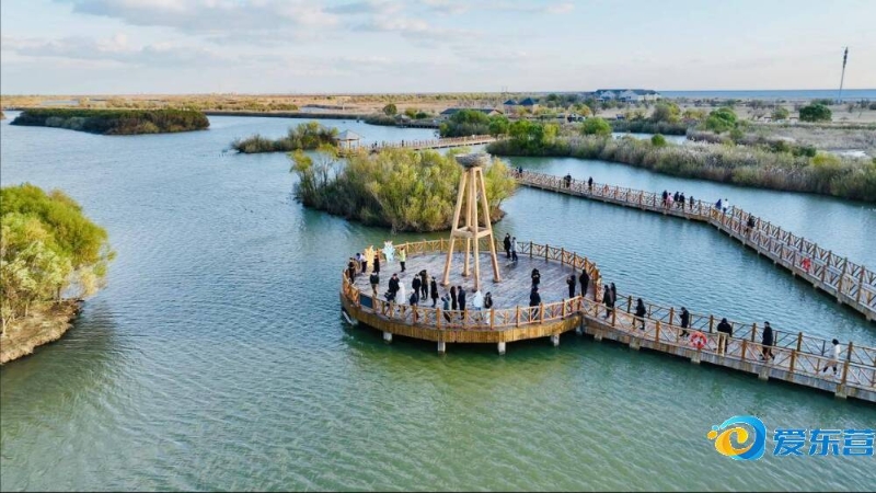 9男篮世界 9男篮世界