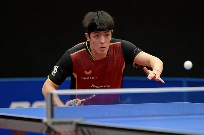 的辉煌岁月 的辉煌岁月